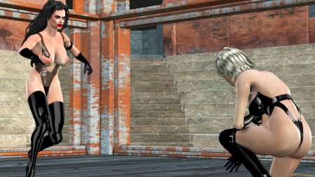 Бой девушек 3 д графика