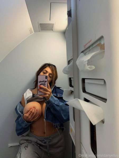 Эротичное селфи в туалете самолета