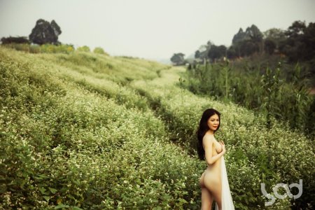 Вьетнамская эротика