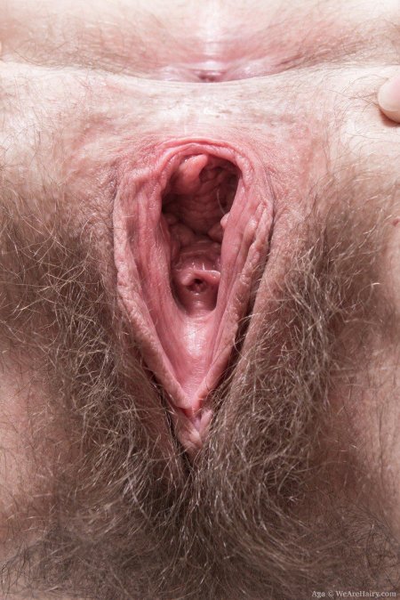 Влагалища крупным планом