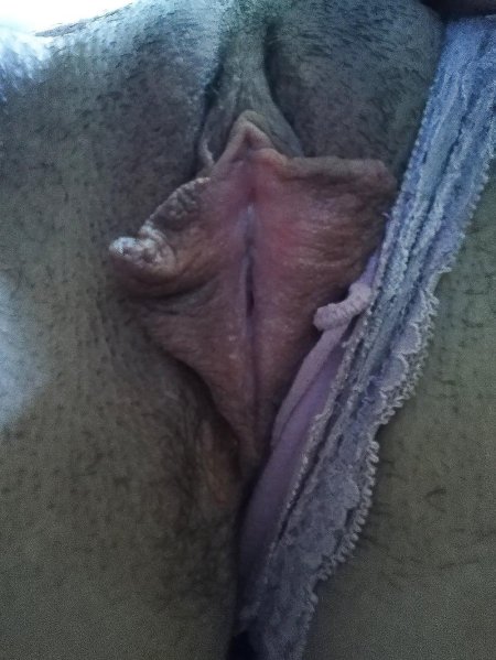 Вымя кобылы