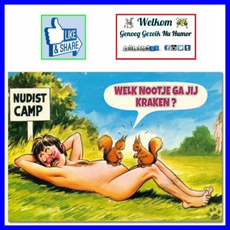 Белка для детей