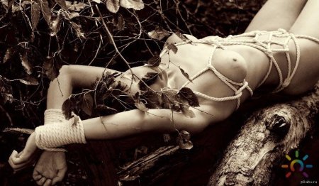 Шибари татьяна терещенко