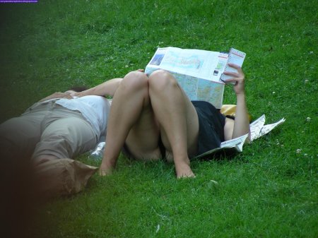 Профессиональные вуайеристы