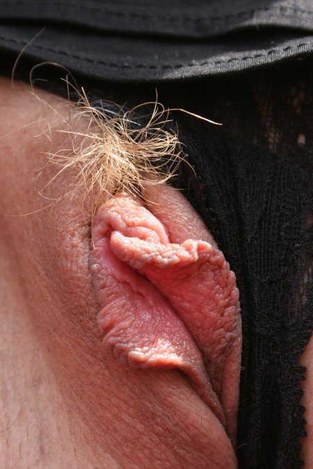 Необычное насекомое