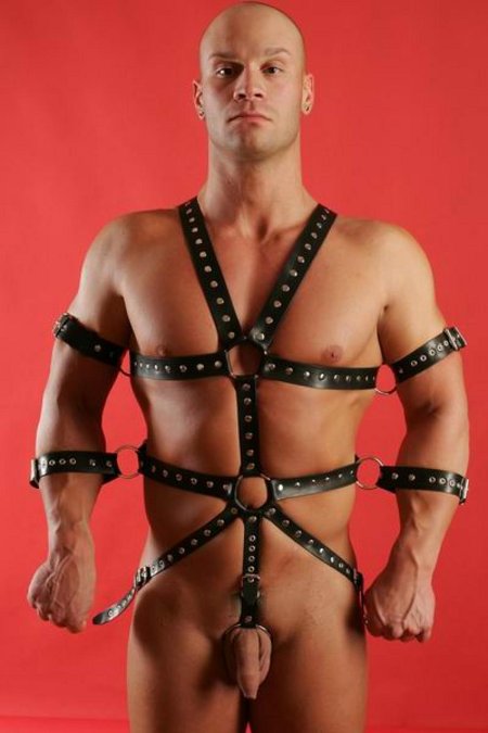 Мужская сбруя портупея costas solid structure ouch