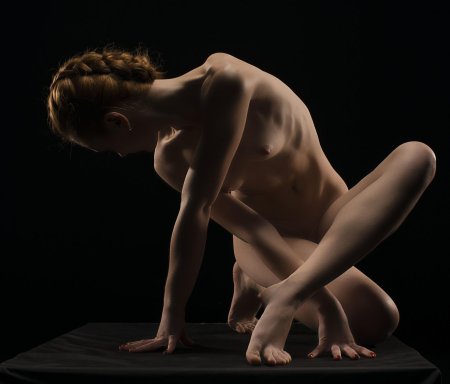 Художественная эротика