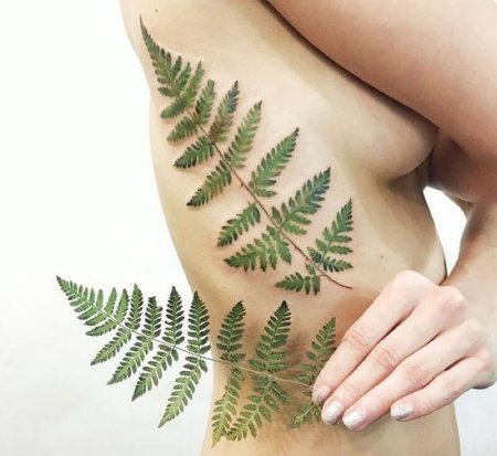 Тату папоротник