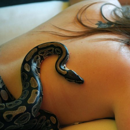 Девушка со змеей