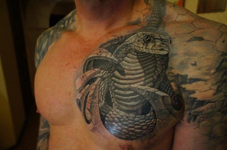 Тату кобра