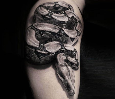 Змея анаконда тату