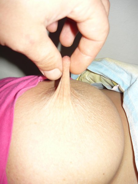 Сиська порно