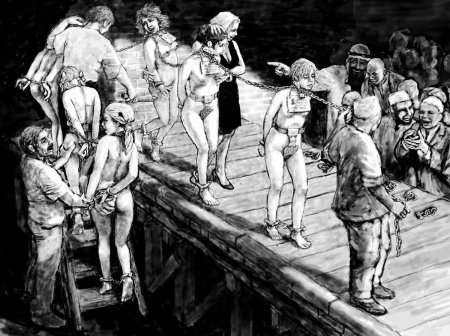 Иллюстрации