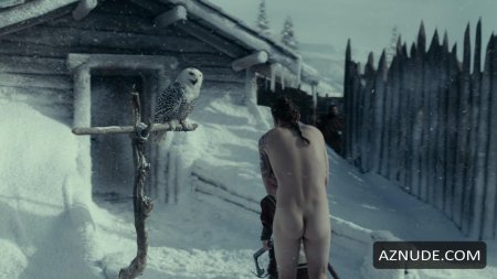 Белая полярная сова