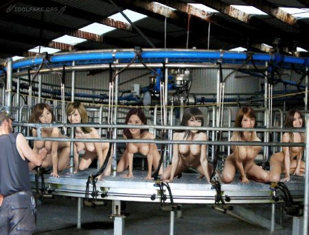 Доильные аппараты для коров на фермах