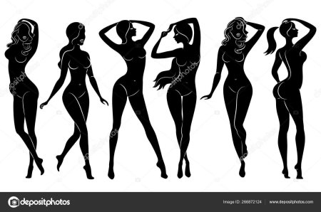 Силуэт женской фигуры