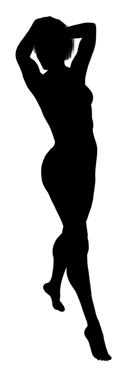 Силуэт голой женщины