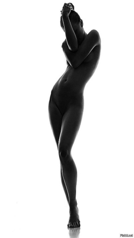 Женский красивый силуэт ню