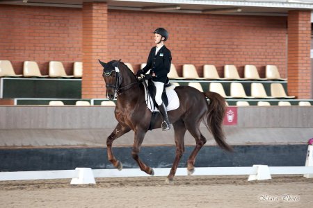Соболева ольга выездка конный спорт