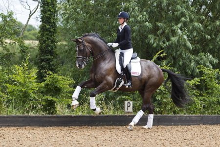 Выездка пируэт