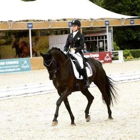 Елена сиднева выездка