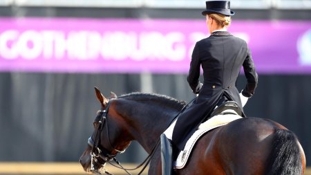 Конный спорт выездка