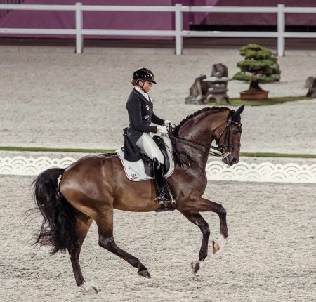 Джессика фон бредов-верндль конный спорт выездка