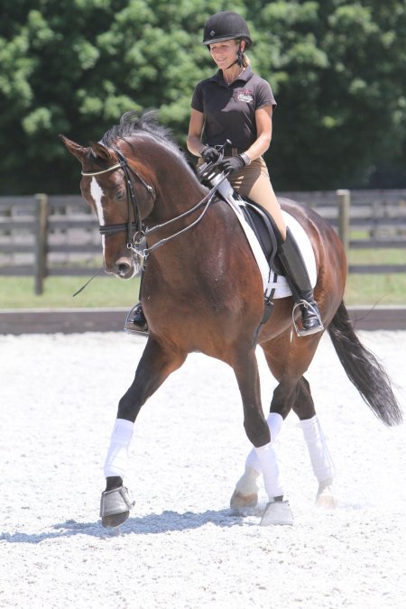 Выездка конный спорт