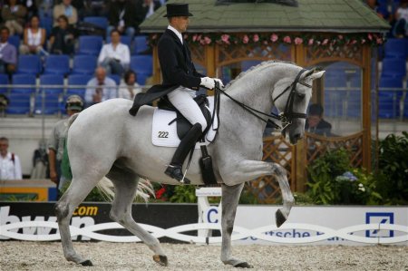 Андалузская порода лошадей выездка
