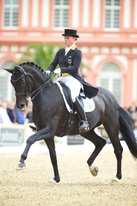 Изабель верт