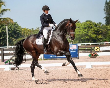 Выездка тотилас