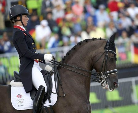 Выездка конный спорт редингот