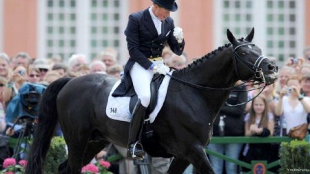 Конный спорт выездка тотилас