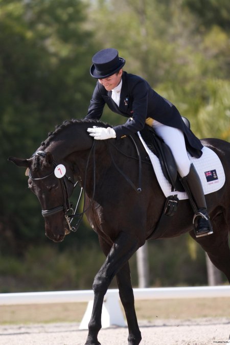 Хелен лангеханенберг выездка