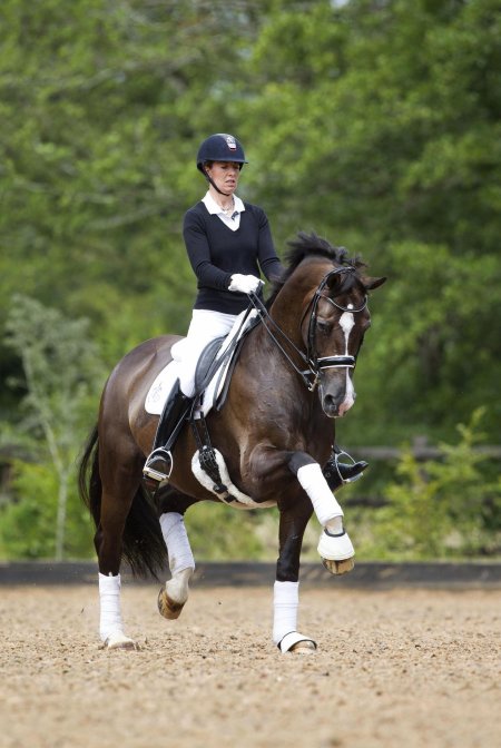 Выездка конный спорт