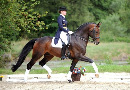 Ольга александровская выездка