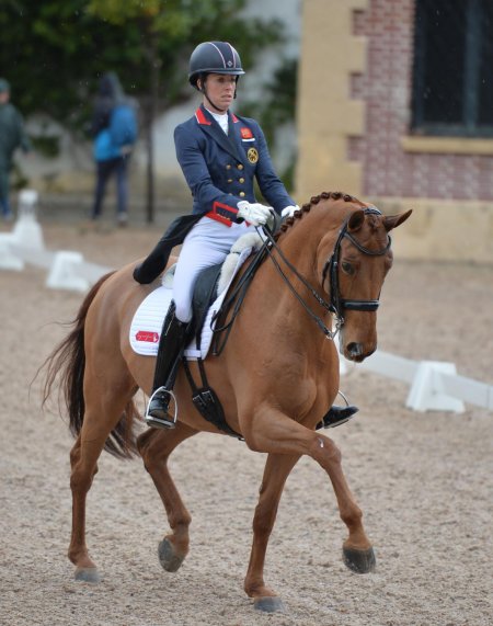 Выездка карл хестер