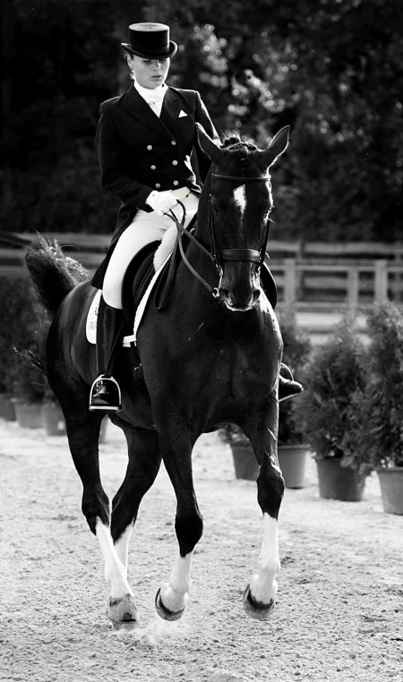 Выездка конный спорт эстетика