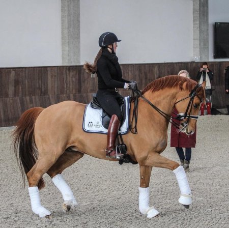 Катрин дюфор выездка