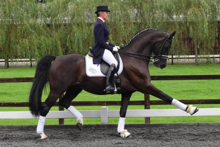 Шарлотта дюжарден выездка