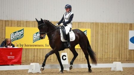 Соревнования по выездке