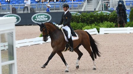 Выездка принимание