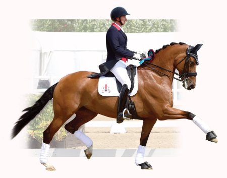 Изабель верт выездка