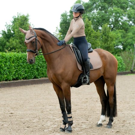 Правильная верховая езда на лошади