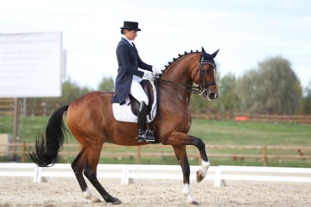 Анна карасева выездка