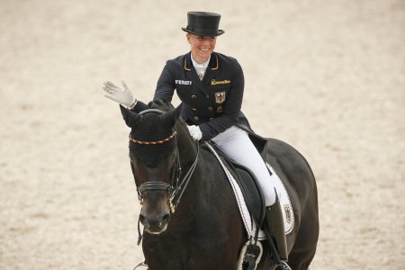 Кубок мира по выездке