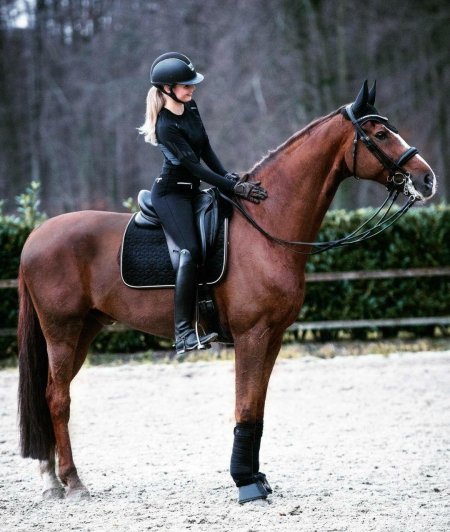 Верховая езда