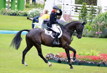 Конный спорт выездка