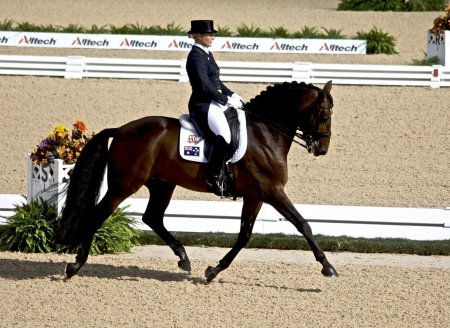 Шарлотта дюжарден конный спорт выездка