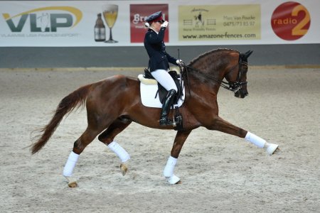 Шарлотта дюжарден и валегро